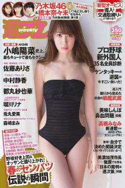 皇家守卫军中文白金版
