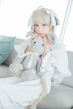 完美伴侣电视剧全集免费观看完整版